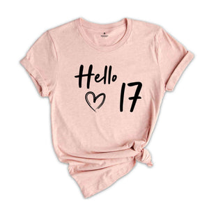 17th Birthday Shirt, Hello 17 T-Shirt, Born in 2008 shirt, 17th Birthday Gift, Eighteen And Fabulous, 2008 Birthday Shirt