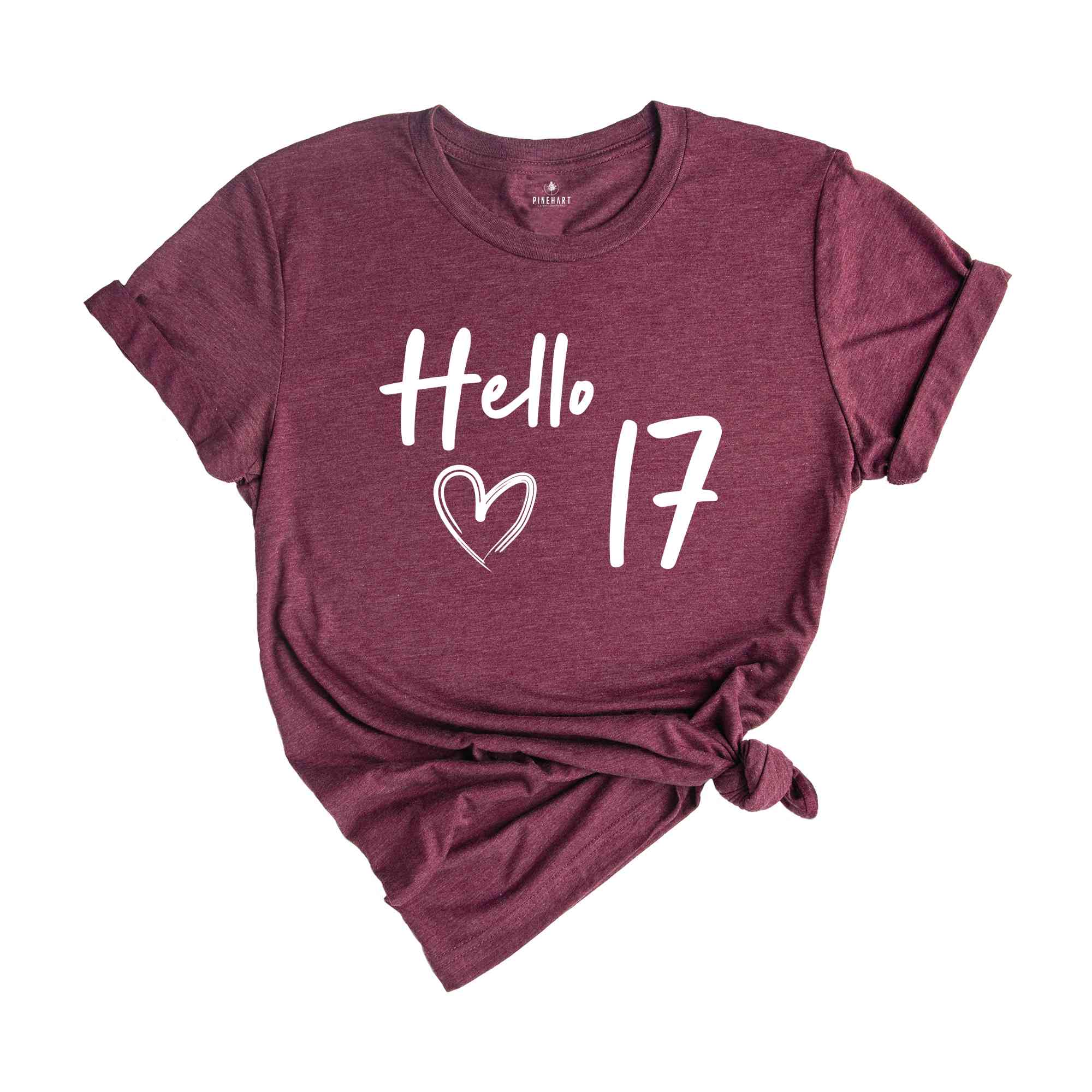 17th Birthday Shirt, Hello 17 T-Shirt, Born in 2008 shirt, 17th Birthday Gift, Eighteen And Fabulous, 2008 Birthday Shirt