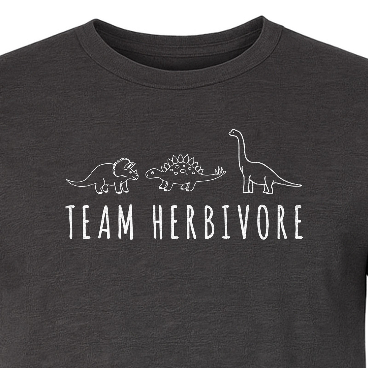 Vegan Dinosaur T-Shirt, Team Herbivore Graphic for Plant Lovers and Vegetarian Gifts