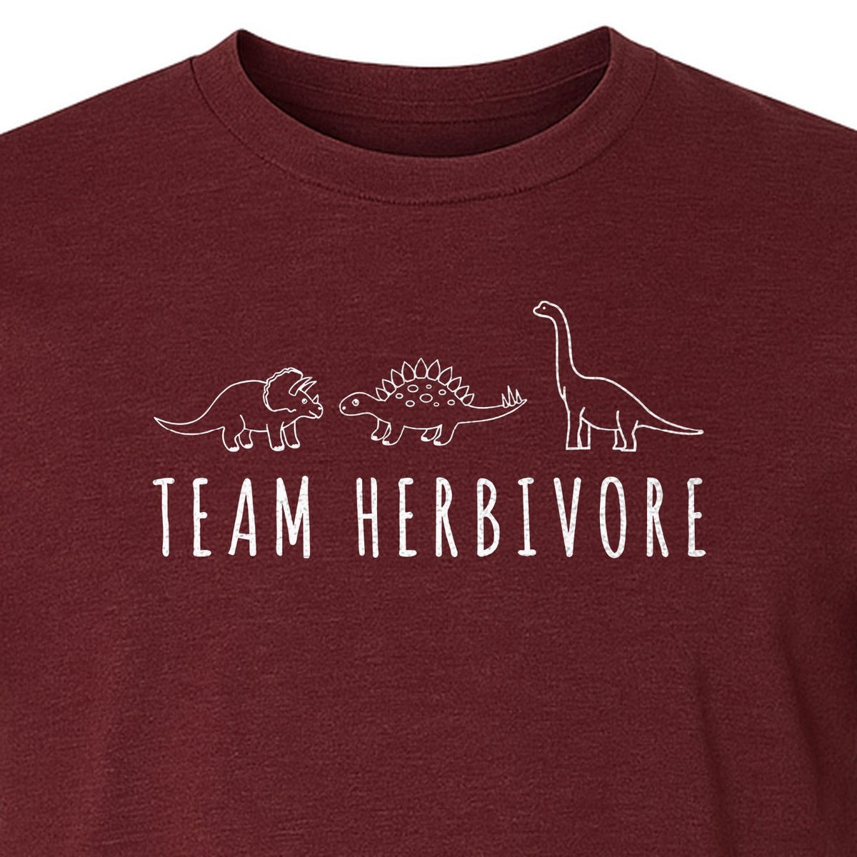 Vegan Dinosaur T-Shirt, Team Herbivore Graphic for Plant Lovers and Vegetarian Gifts