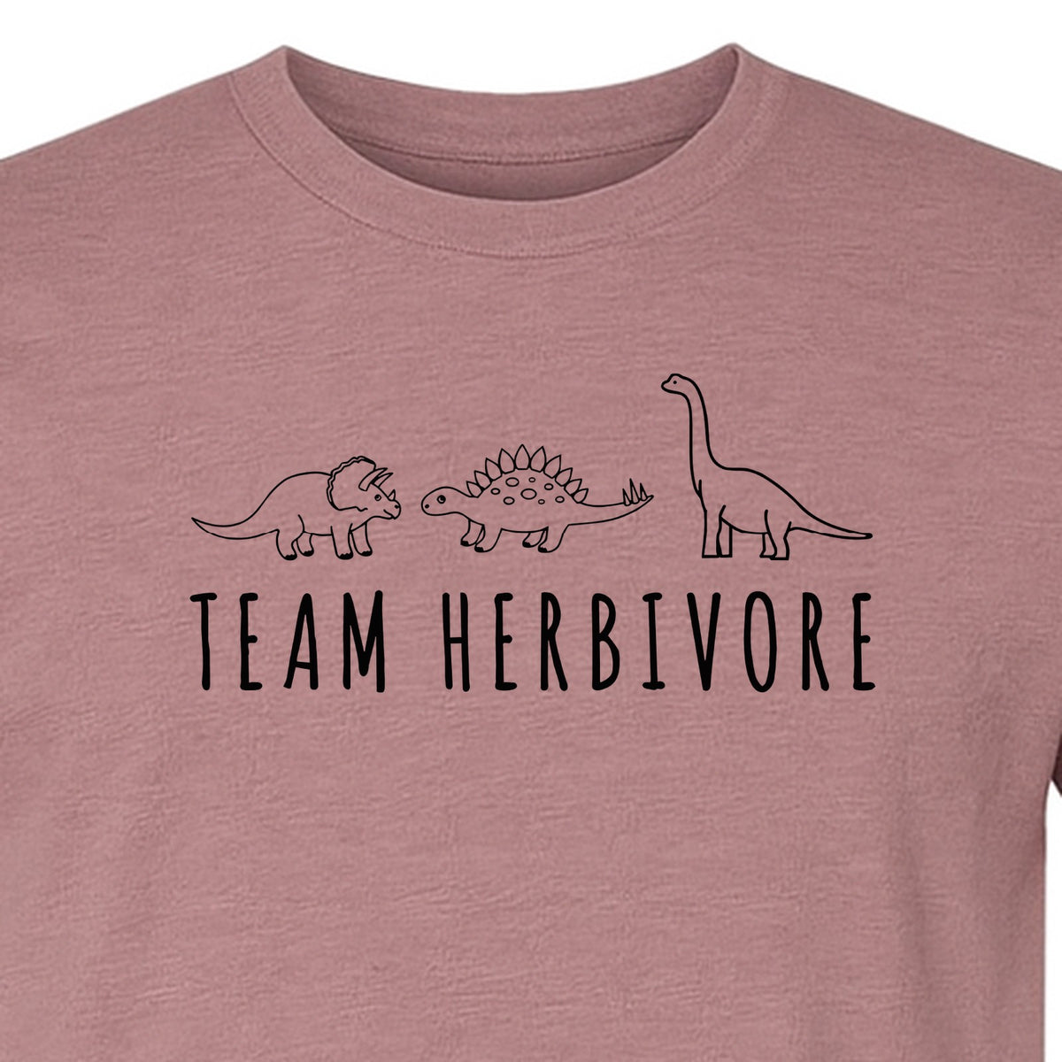 Vegan Dinosaur T-Shirt, Team Herbivore Graphic for Plant Lovers and Vegetarian Gifts