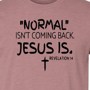 Normal Isn't Coming Back Jesus Is T-Shirt, Revelation 14 Christian Faith Scripture Design