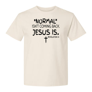 Normal Isn't Coming Back Jesus Is T-Shirt, Revelation 14 Christian Faith Scripture Design