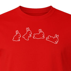 Rabbit T-Shirt, Four Cute Bunny Poses Outline Graphic for Animal Lovers and Spring Gifts