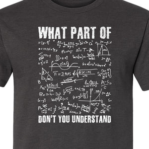 Math Teacher T-Shirt, What Part of Don't You Understand Equation Design for Educators