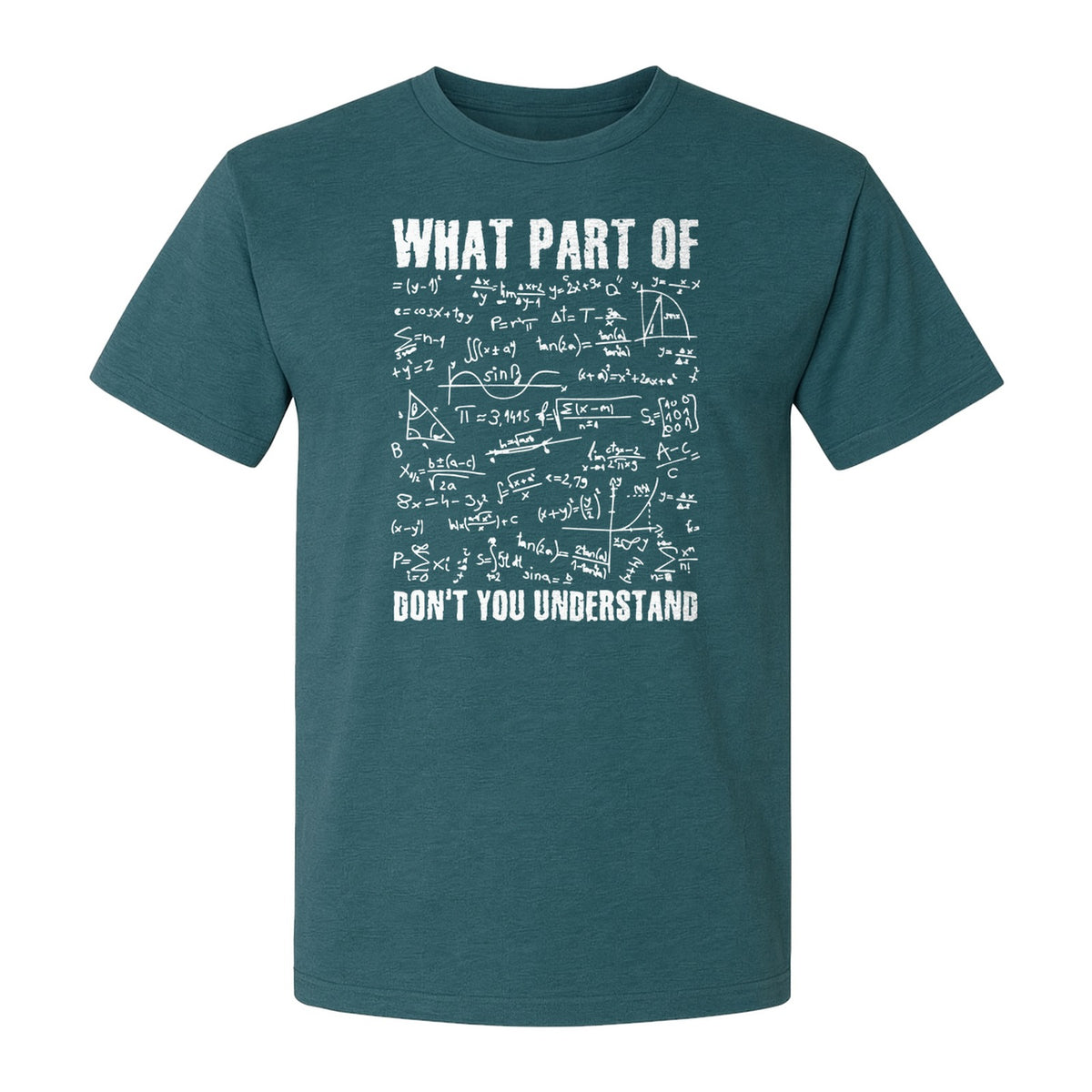 Math Teacher T-Shirt, What Part of Don't You Understand Equation Design for Educators