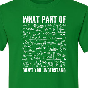 Math Teacher T-Shirt, What Part of Don't You Understand Equation Design for Educators