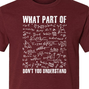 Math Teacher T-Shirt, What Part of Don't You Understand Equation Design for Educators