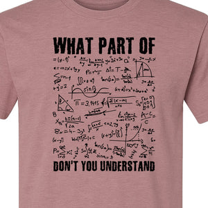Math Teacher T-Shirt, What Part of Don't You Understand Equation Design for Educators