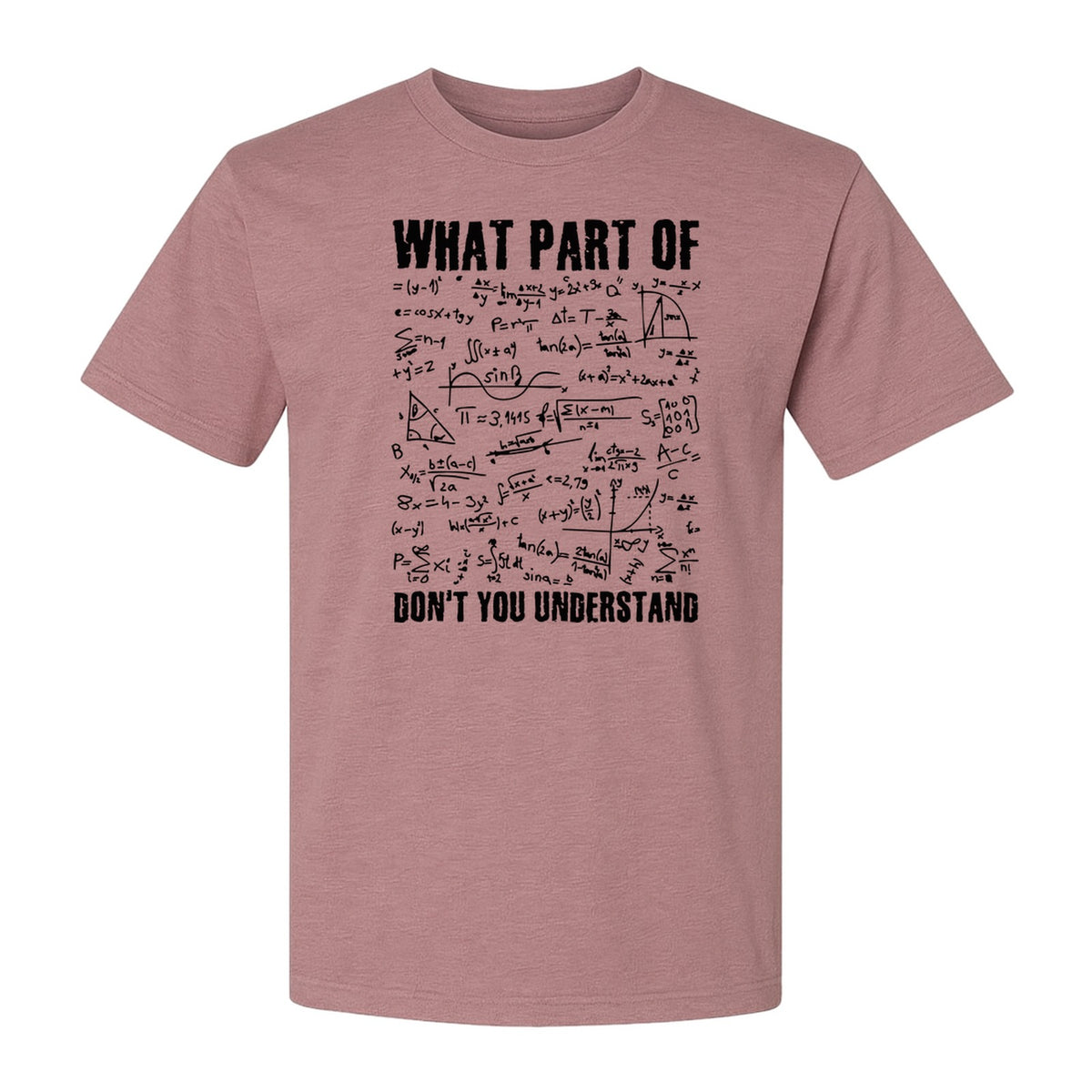 Math Teacher T-Shirt, What Part of Don't You Understand Equation Design for Educators