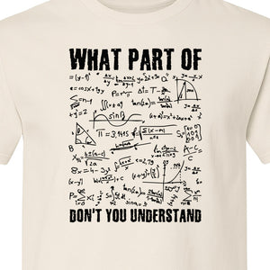 Math Teacher T-Shirt, What Part of Don't You Understand Equation Design for Educators