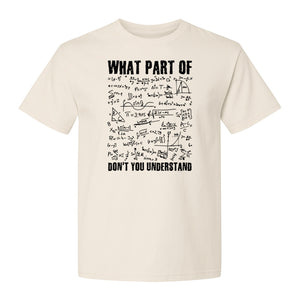 Math Teacher T-Shirt, What Part of Don't You Understand Equation Design for Educators