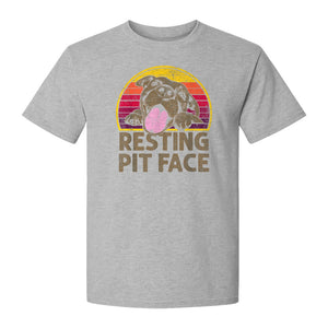 Pitbull T-Shirt, Resting Pit Face Retro Sunset Dog Graphic for Owners and Pet Parents