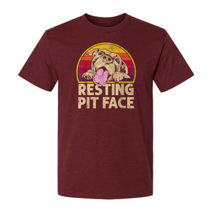 Pitbull T-Shirt, Resting Pit Face Retro Sunset Dog Graphic for Owners and Pet Parents