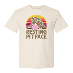 Pitbull T-Shirt, Resting Pit Face Retro Sunset Dog Graphic for Owners and Pet Parents
