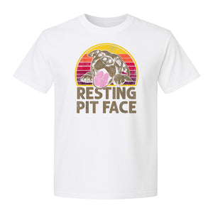 Pitbull T-Shirt, Resting Pit Face Retro Sunset Dog Graphic for Owners and Pet Parents