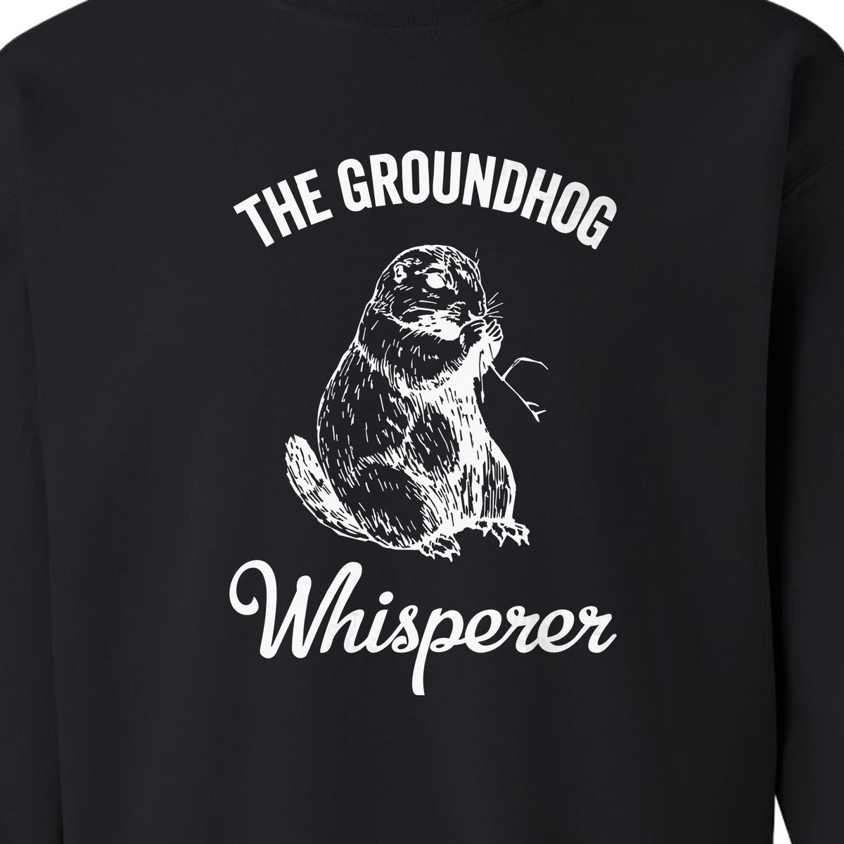 Groundhog Whisperer Sweatshirt, Detailed Sketch Animal Lover Crewneck for Men and Women