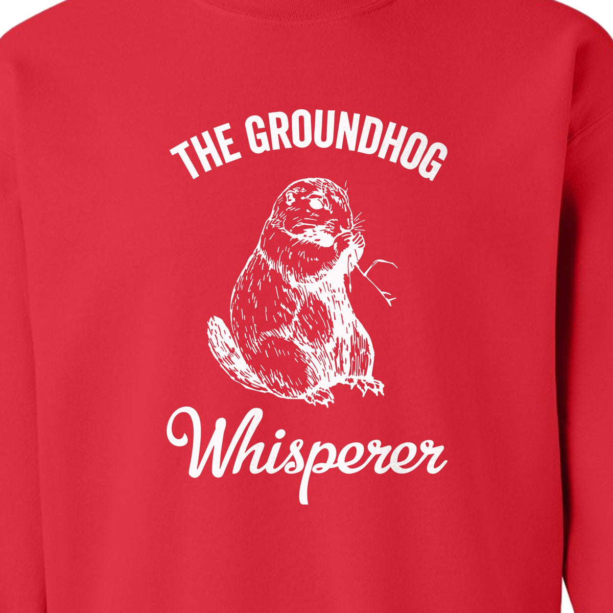 Groundhog Whisperer Sweatshirt, Detailed Sketch Animal Lover Crewneck for Men and Women