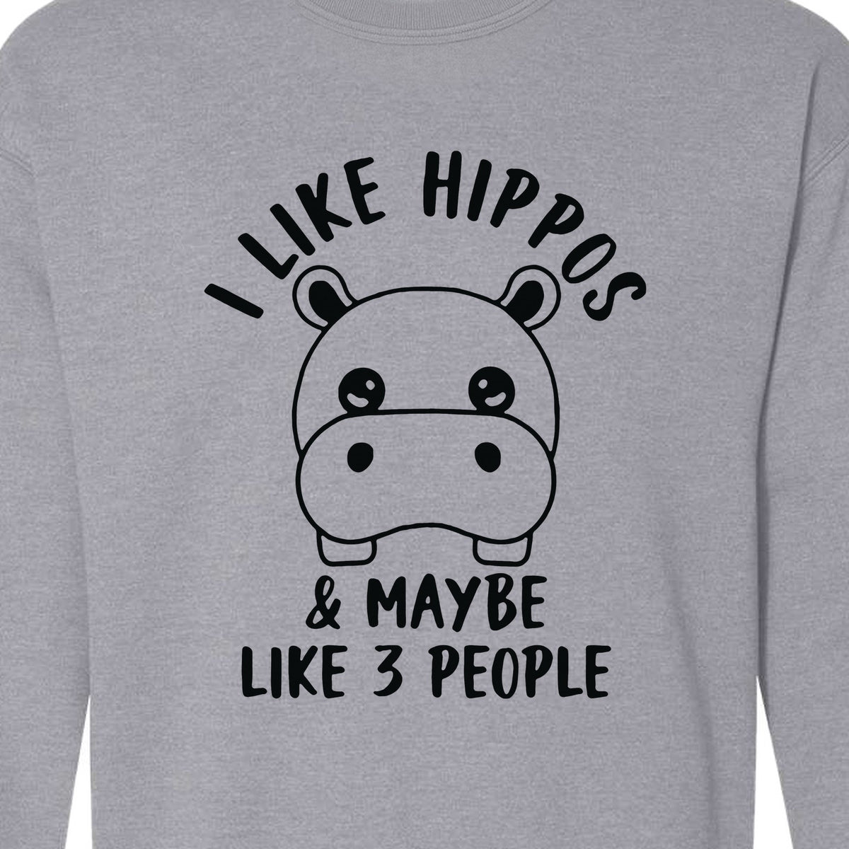 Hippo Sweatshirt, Funny Introvert Quote About Liking Hippos and Maybe 3 People for Animal Lovers