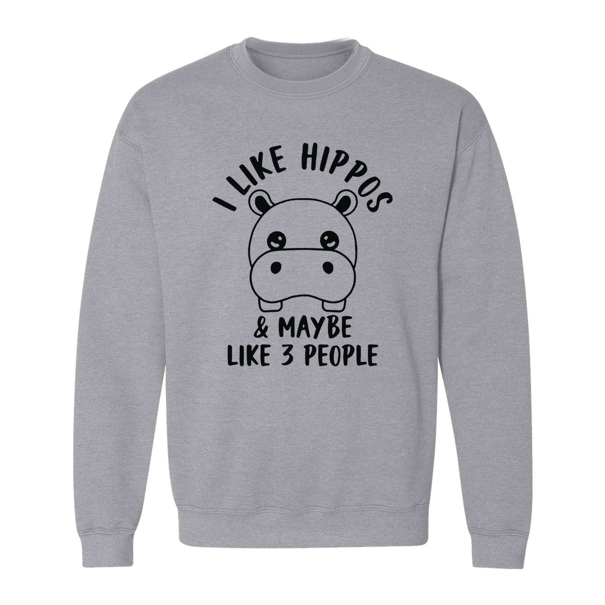 Hippo Sweatshirt, Funny Introvert Quote About Liking Hippos and Maybe 3 People for Animal Lovers