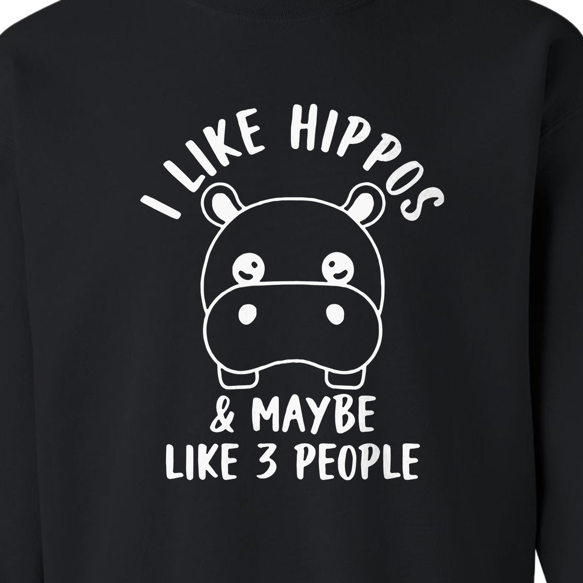Hippo Sweatshirt, Funny Introvert Quote About Liking Hippos and Maybe 3 People for Animal Lovers