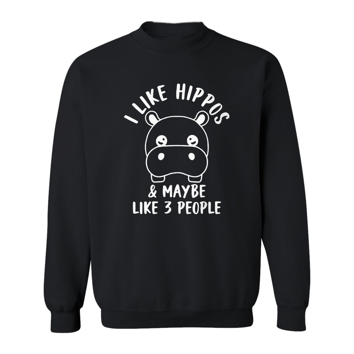 Hippo Sweatshirt, Funny Introvert Quote About Liking Hippos and Maybe 3 People for Animal Lovers