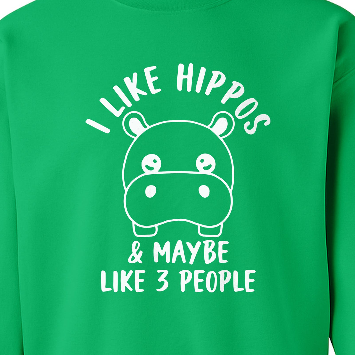 Hippo Sweatshirt, Funny Introvert Quote About Liking Hippos and Maybe 3 People for Animal Lovers