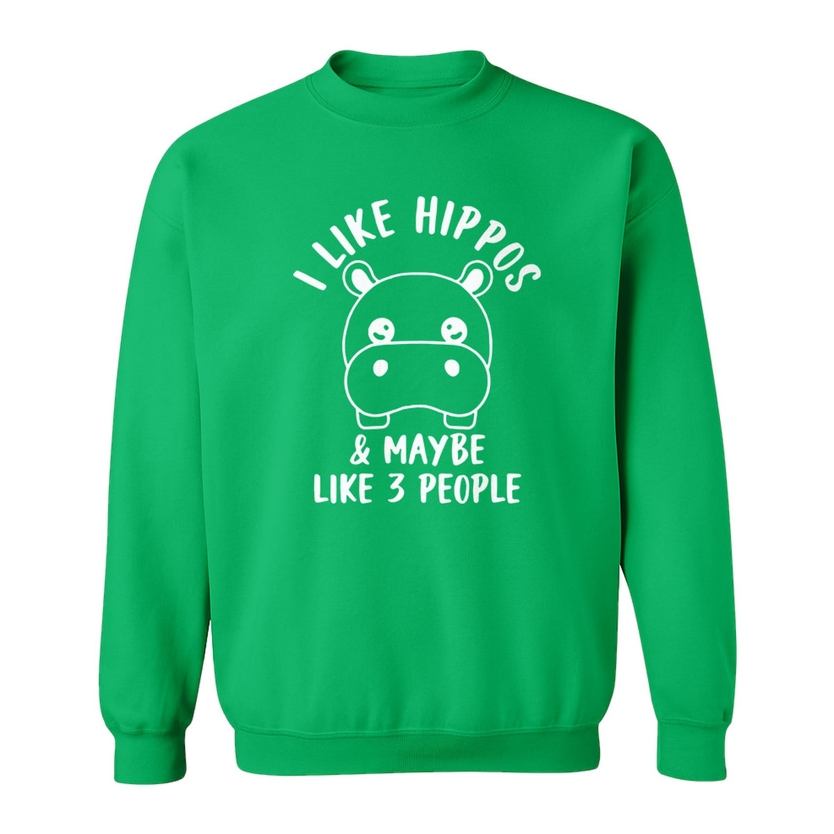 Hippo Sweatshirt, Funny Introvert Quote About Liking Hippos and Maybe 3 People for Animal Lovers