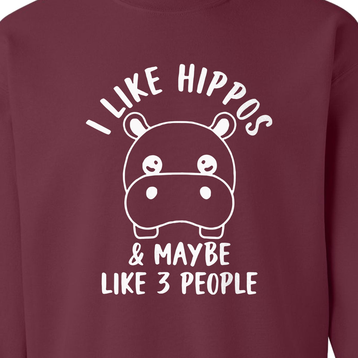 Hippo Sweatshirt, Funny Introvert Quote About Liking Hippos and Maybe 3 People for Animal Lovers