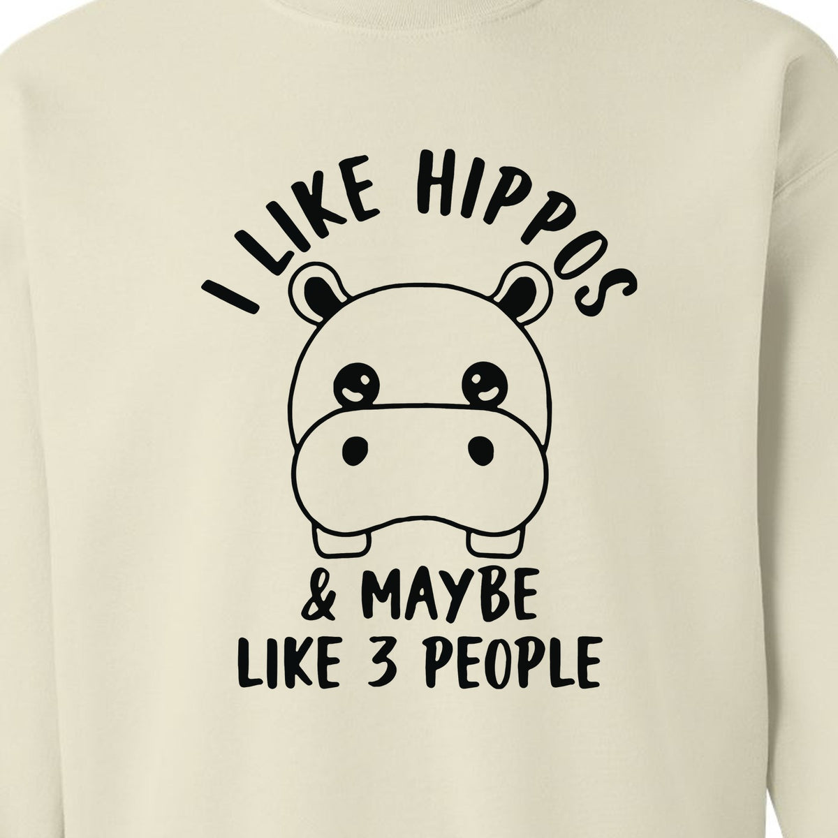 Hippo Sweatshirt, Funny Introvert Quote About Liking Hippos and Maybe 3 People for Animal Lovers
