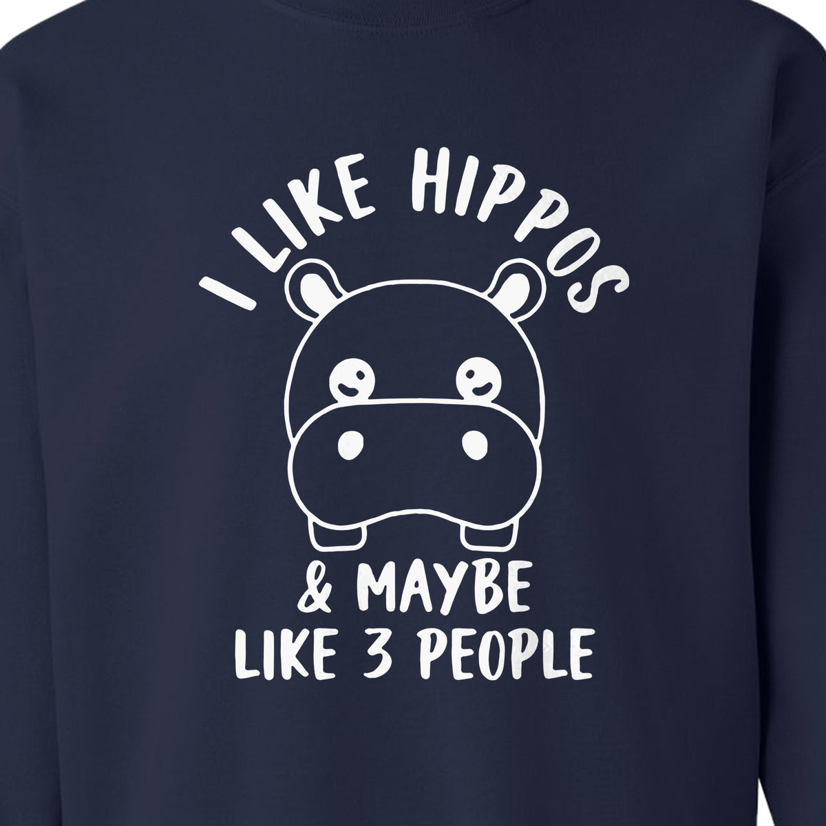Hippo Sweatshirt, Funny Introvert Quote About Liking Hippos and Maybe 3 People for Animal Lovers