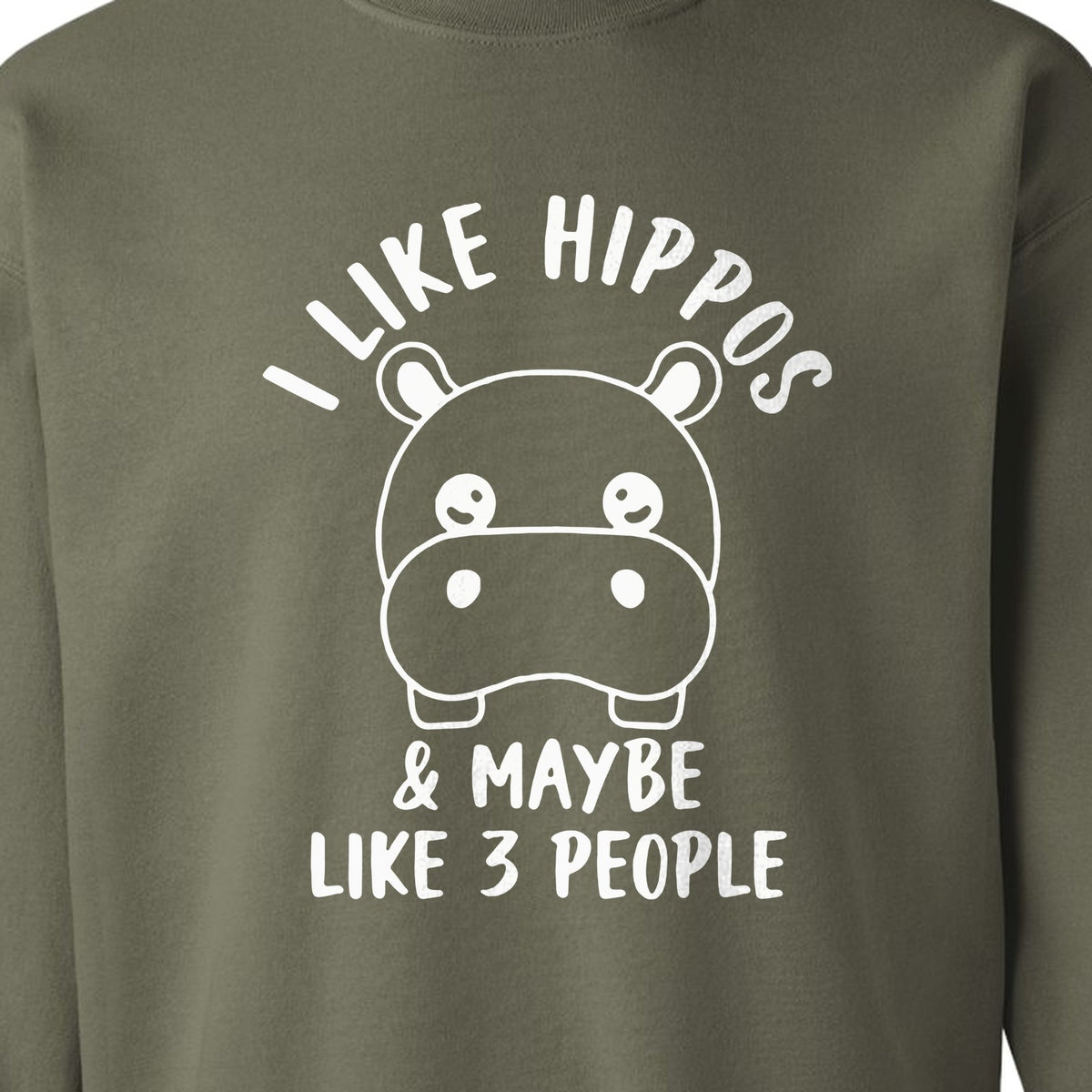 Hippo Sweatshirt, Funny Introvert Quote About Liking Hippos and Maybe 3 People for Animal Lovers