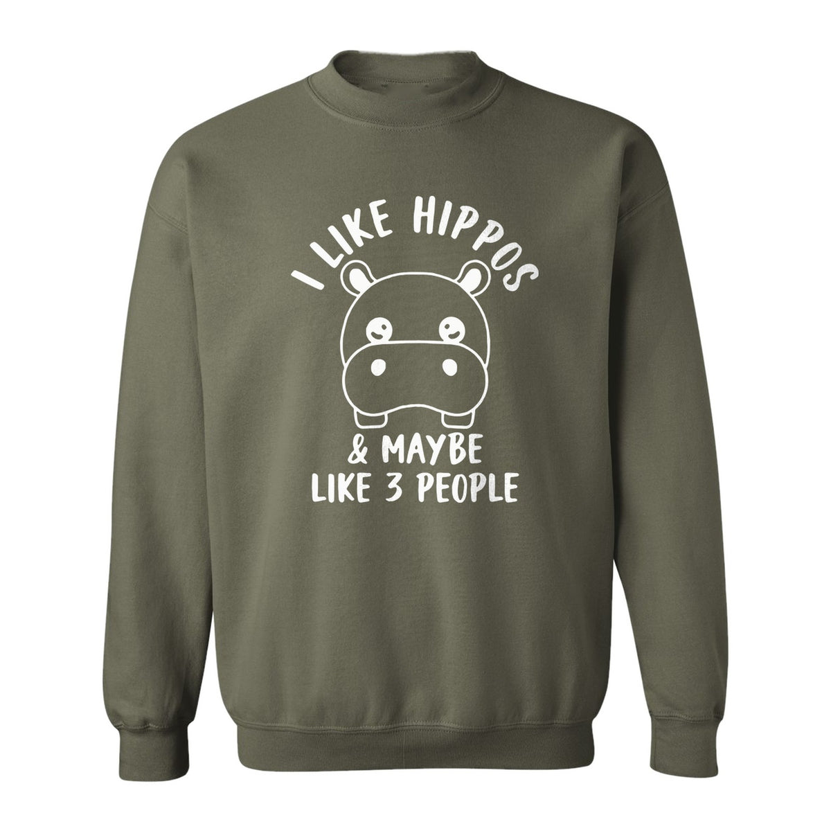 Hippo Sweatshirt, Funny Introvert Quote About Liking Hippos and Maybe 3 People for Animal Lovers