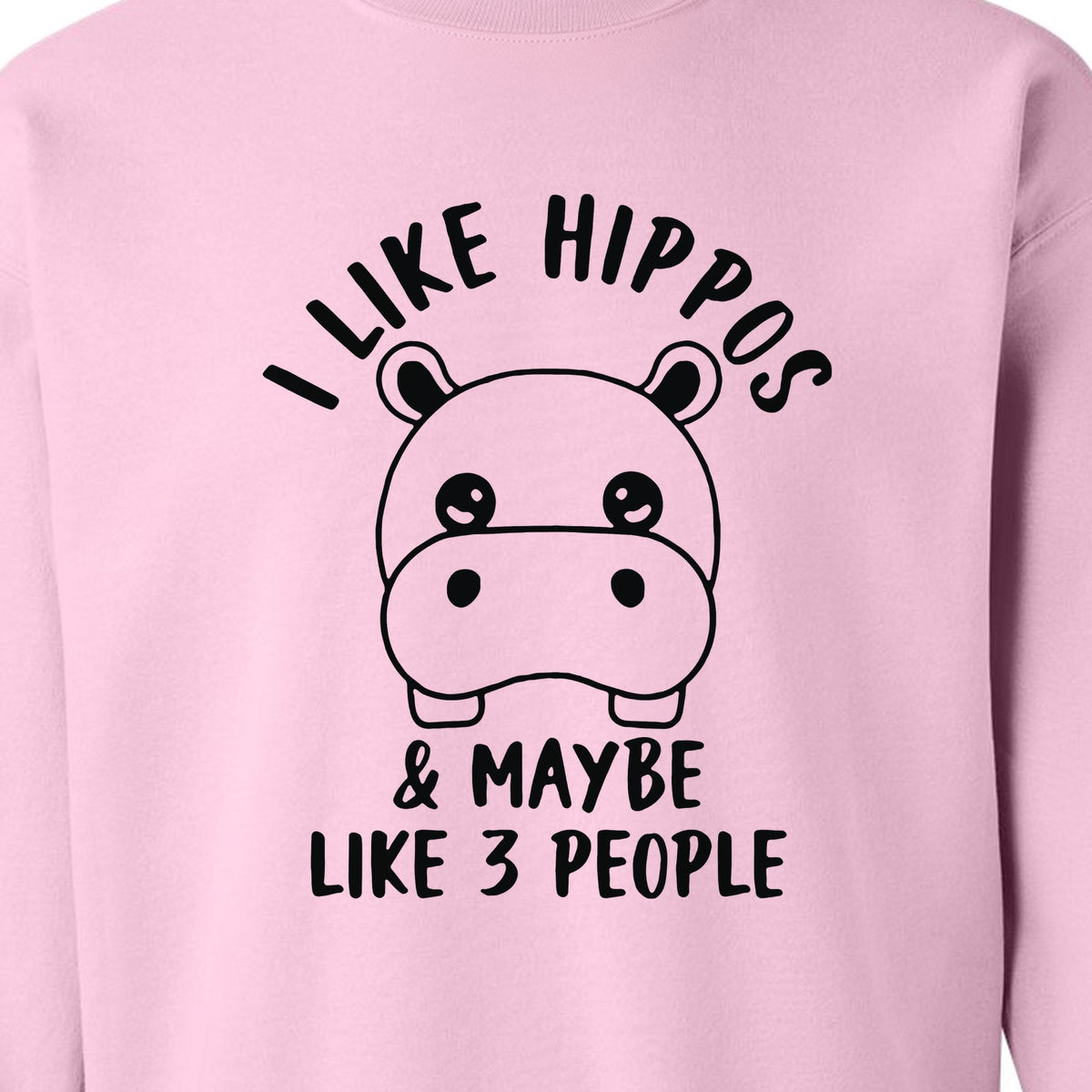 Hippo Sweatshirt, Funny Introvert Quote About Liking Hippos and Maybe 3 People for Animal Lovers
