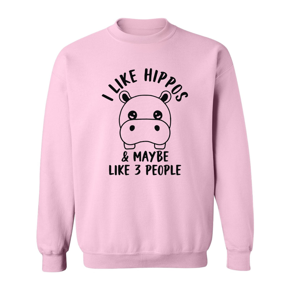 Hippo Sweatshirt, Funny Introvert Quote About Liking Hippos and Maybe 3 People for Animal Lovers