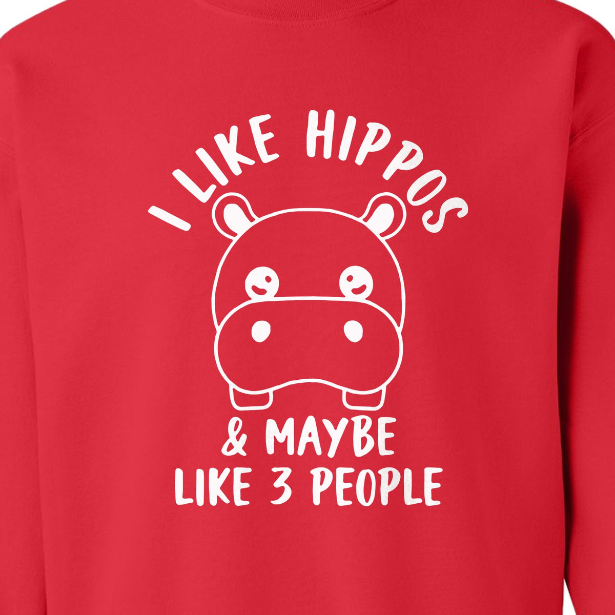 Hippo Sweatshirt, Funny Introvert Quote About Liking Hippos and Maybe 3 People for Animal Lovers