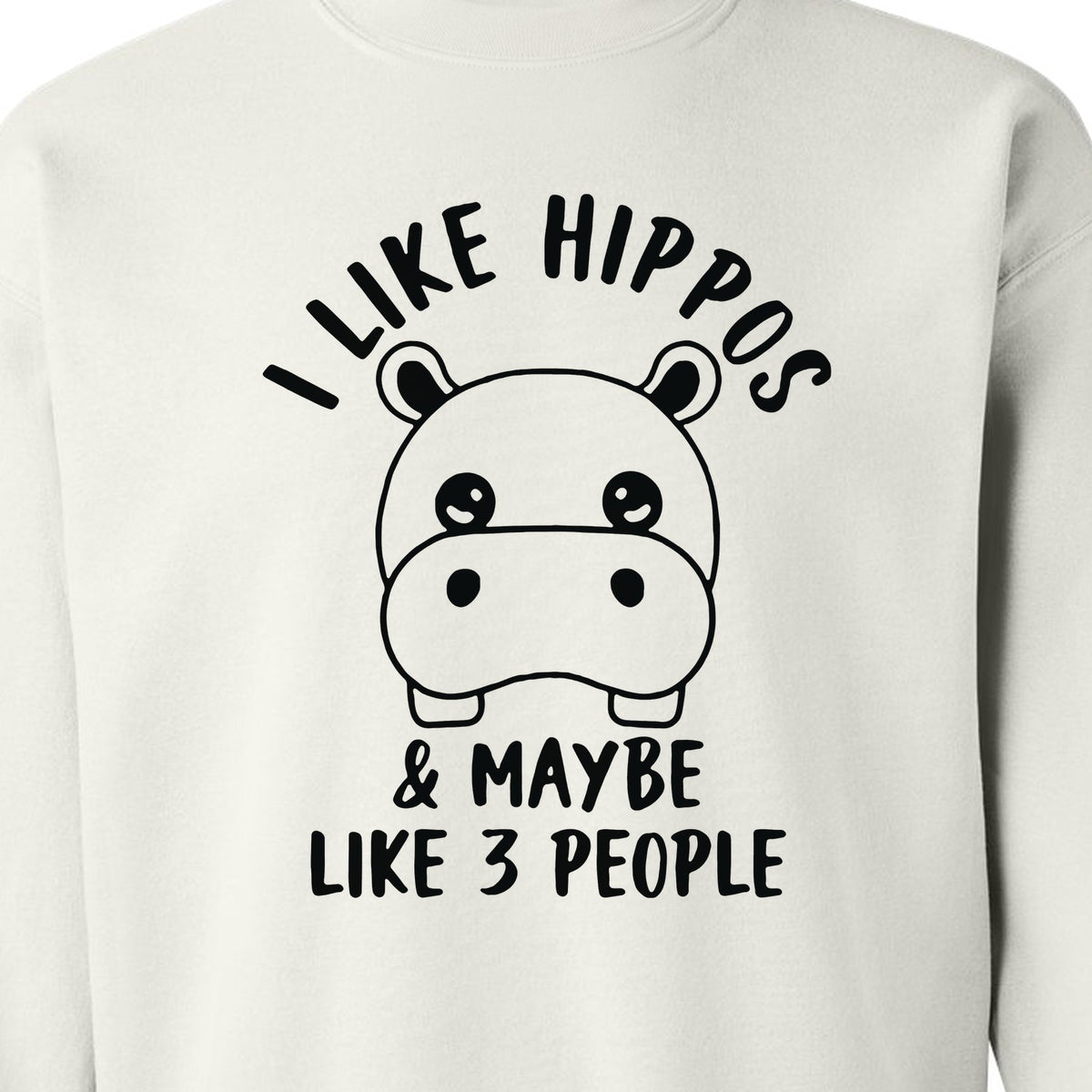 Hippo Sweatshirt, Funny Introvert Quote About Liking Hippos and Maybe 3 People for Animal Lovers