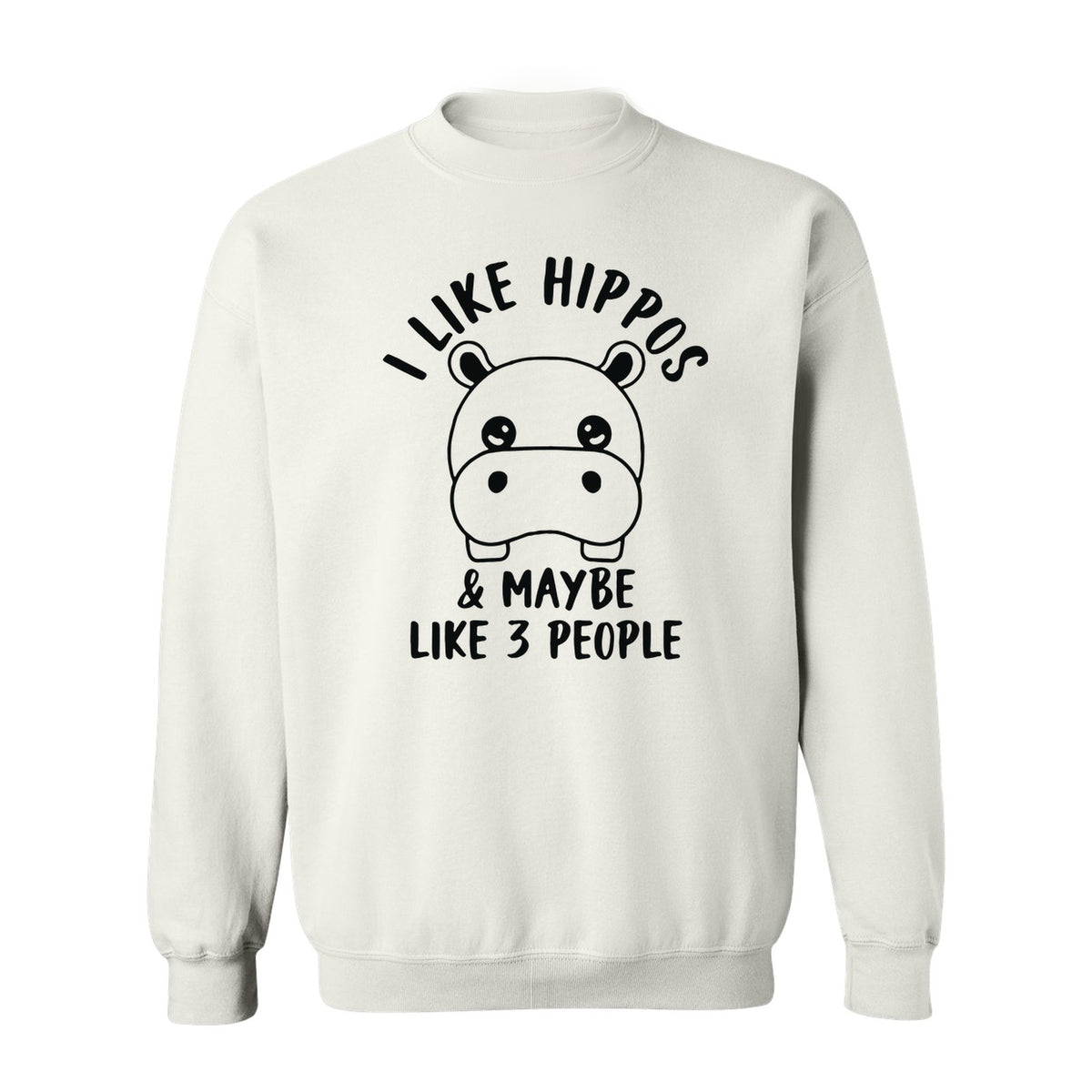 Hippo Sweatshirt, Funny Introvert Quote About Liking Hippos and Maybe 3 People for Animal Lovers