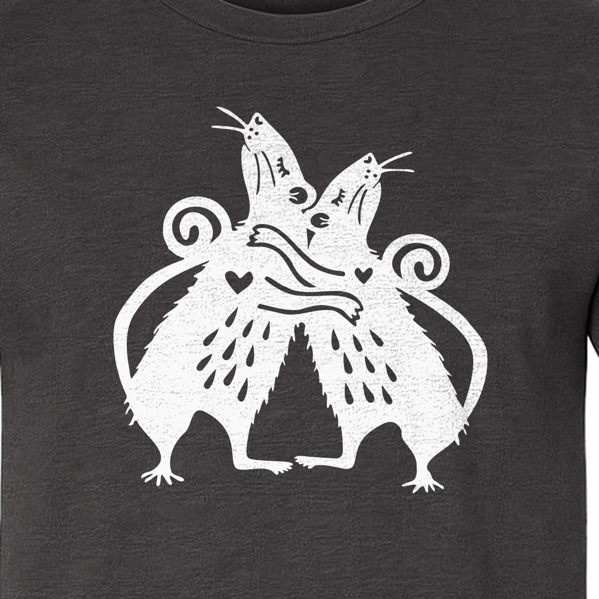 Rat T-Shirt, Hugging Rodent Illustration for Animal Lovers and Pocket Pet Owners