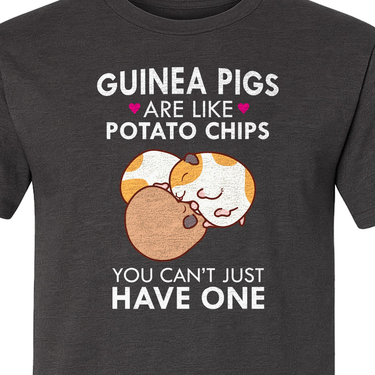 Guinea Pig T-Shirt, Funny Potato Chips Quote for Pet Lovers and Animal Fans