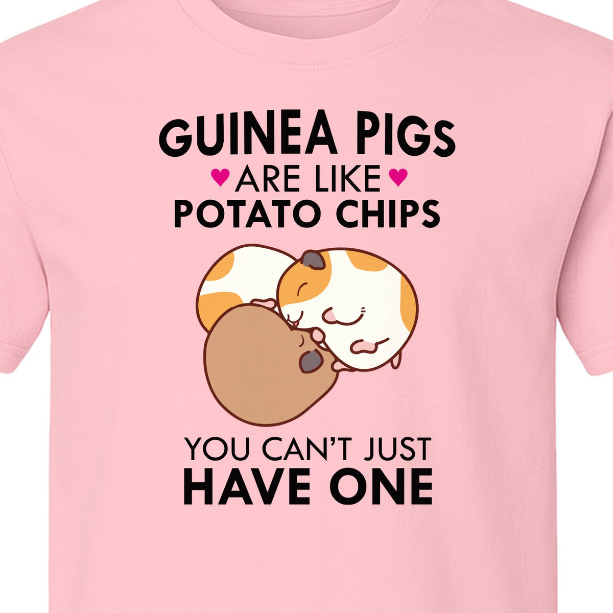 Guinea Pig T-Shirt, Funny Potato Chips Quote for Pet Lovers and Animal Fans