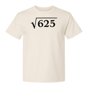 Square Root of 625 T-Shirt, Funny Math 25th Birthday Graphic for Number Lovers