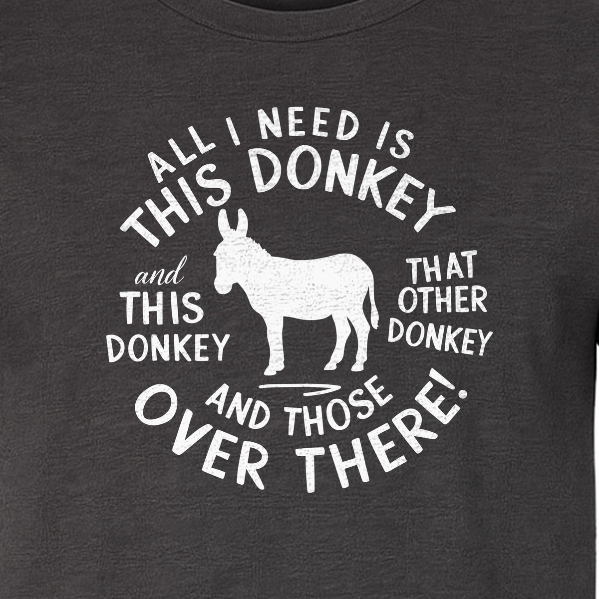 All I Need Is This Donkey T-Shirt, Funny Farm Animal Graphic for Mule and Ranch Lovers