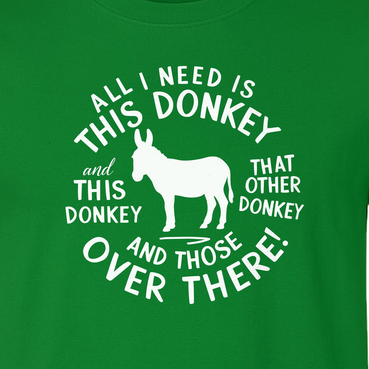 All I Need Is This Donkey T-Shirt, Funny Farm Animal Graphic for Mule and Ranch Lovers