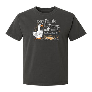Christian Comfort Colors T-Shirt, Sorry I'm Late His Timing Not Mine Goose with Ecclesiastes 3:1 for Faith Gifts