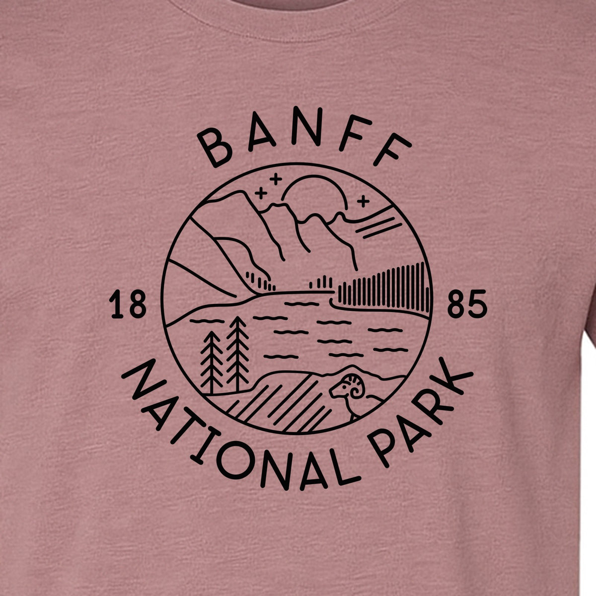 Banff National Park T-Shirt, Mountain Lake and Forest Travel Souvenir for Canada Visitors