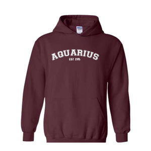 Aquarius Birthday 1975 Sweatshirt, February Birthday Hoodie, Astrology Hoodie, Astrology Gift, 50th Sweatshirt, 50th Birthday Tee