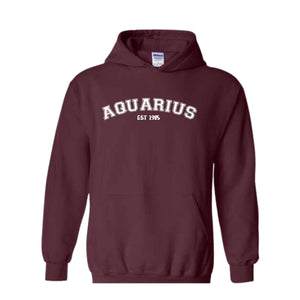 Aquarius Birthday Sweatshirt, February Birthday Hoodie, Astrology Hoodie, 40th Gift, 40th Hoodie, Star Sign Aquarius Sweatshirt