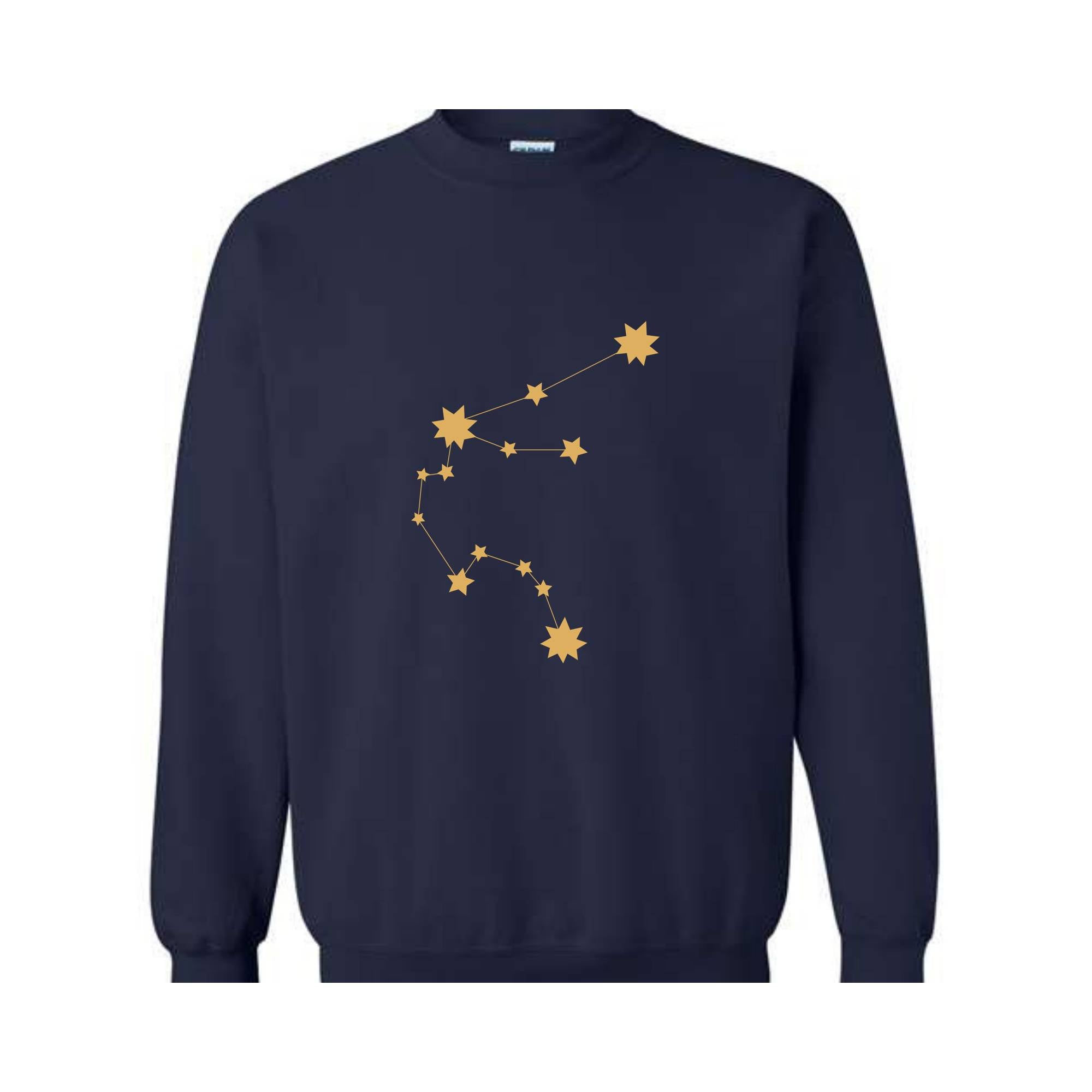 Aquarius Zodiac Birthday Hoodie, Astrology Sweatshirt, Aquarius Birthday Gift, Zodiac Hoodie, Zodiac Sweatshirt, Aquarius Sweatshirt