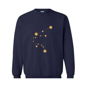 Aquarius Zodiac Birthday Hoodie, Astrology Sweatshirt, Aquarius Birthday Gift, Zodiac Hoodie, Zodiac Sweatshirt, Aquarius Sweatshirt